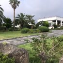 안덕면 서광서리 복지회관 이미지