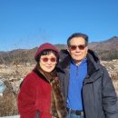 알프스안경점 이미지