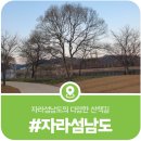 봄의기운 | 자라섬 남도의 봄, 봄의 기운이 느껴지기 시작하는 자라섬 남도 봄산책