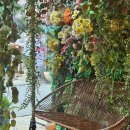 아시안테이블 | 혜화 가성비 맛집 추천 :: 내돈내산 대학로 태국음식 맛집, 아시안테이블