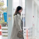 아미오피스