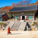부산엔 이미지