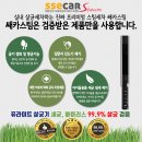 불당스팀