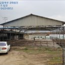 김화목장 이미지