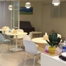 대전브라운도트 월평점 이미지