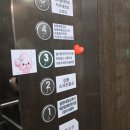무인솜사탕 | 완주 삼례 아이와 가볼만한곳 추천 | 솜사탕무인키즈카페 솔직후기🍭