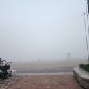 광안리보울스포케샐러드 이미지