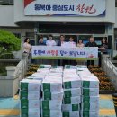 사파동150 이미지