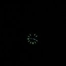 에버로즈 이미지