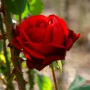 좋은인연 이미지