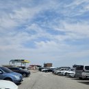 국가대표바지락손칼국수 | 서산 간월도 바지락칼국수 맛집 내돈내산 후기 [이모네진짜손칼국수]