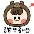 비비샐러드 이미지