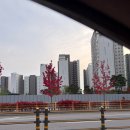 (주)유캔두잇 | [ 주간일기 ] 가을여행을 다녀왔다~ 그런데.. 25. 10. 27 ~ 25. 11. 2