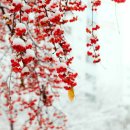 함백산빌 이미지