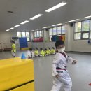 경희대 액티브 태권도 이미지