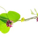 나란히 흐르다 이미지