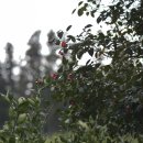 신흥2리마을회관 이미지