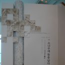 소나무둥지 이미지