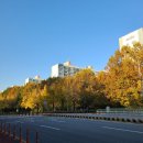 베스트영어학원 | 대치동 영어학원 리얼후기, 함영원, 선경, 최선어학원 ft 영어원서읽기