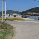 삼지1리마을회관앞 이미지