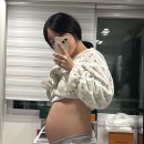 이애와 경신 공주 묘 | [말띠맘 임신일기]26~29주 육아필수템 추천, 리베르여성병원, 수원산후도우미, 백일해 예방접종, 역방쿠...