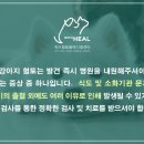 24시 위드힐동물메디컬센터 이미지
