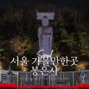 봉은사 선불당 | 서울 봉은사 밤산책 홍매화 야경명소