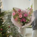 플로시아 이미지