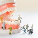 대한치과기공소 이미지