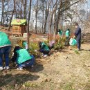 남천공원 이미지