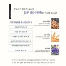 래쉬걸