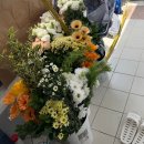 간이역(반구2역점) | 25년 2회 화훼장식기능사 실기 합격 후기 연습과정 시험장까지 꽃 보관 이동법 소재 종류 준비물