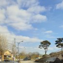 춘향명태본가 이미지