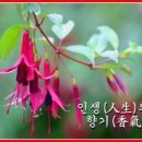 향기 이미지