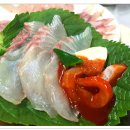 돌돔천국