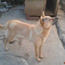 용미농장 이미지