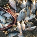 불암치안센터 이미지