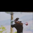 태영골프 이미지