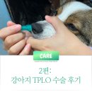 예은동물의료센터 | 강아지 TPLO 수술후기 (2025.6 예은동물의료센터) – 3시간 응급·1주 회복 꿀팁