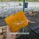 용구대로 2325번길1L | 타파웨어 현대홈쇼핑 실리콘백 세트 (8종 구성 + 추가 선물 증정 및 혜택) 윤슬팀장