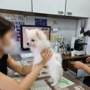 신림종합동물병원 이미지