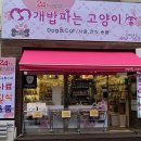 개밥파는고양이 - 김포시 김포한강10로133번길 156 | 개밥파는고양이