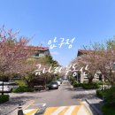 금나라부동산중개사무소 이미지