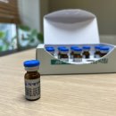 경희감초한의원 이미지