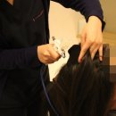 천연머리염색 이미지