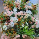 조선대학교 학생복지관 | [원데이클래스 후기] 광주광역시 복지관 여름방학 원예 클래스 다녀왔어요^^