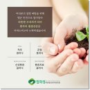 임의성마취통증의학과의원 네이버블로그