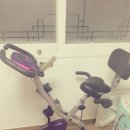 프라임 행정사 | 봄의 여신이 되자! (With 숀리 엑스바이크 프라임)