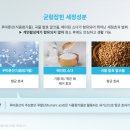 세정식품 이미지