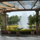 조안경클럽 | 보홀 모달라 비치리조트 돌조비치 숙소 추천